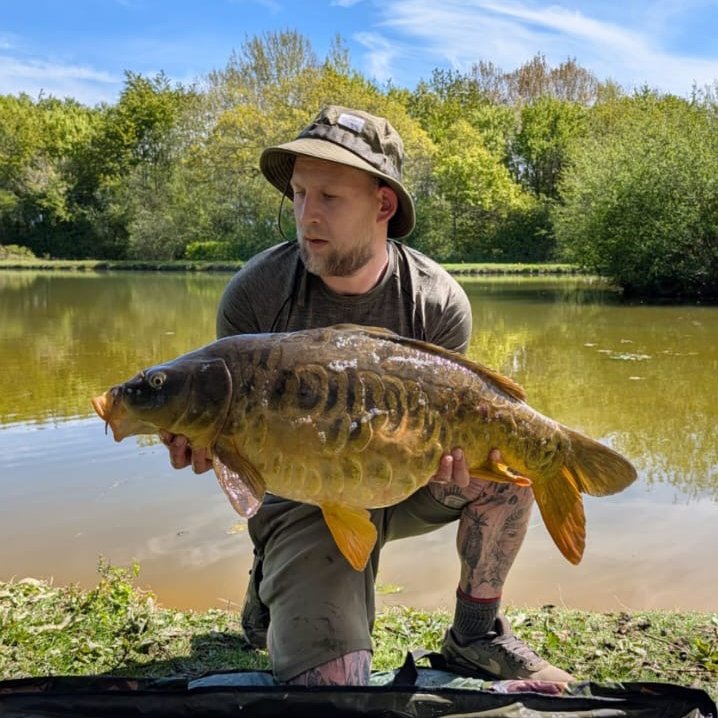 big fish