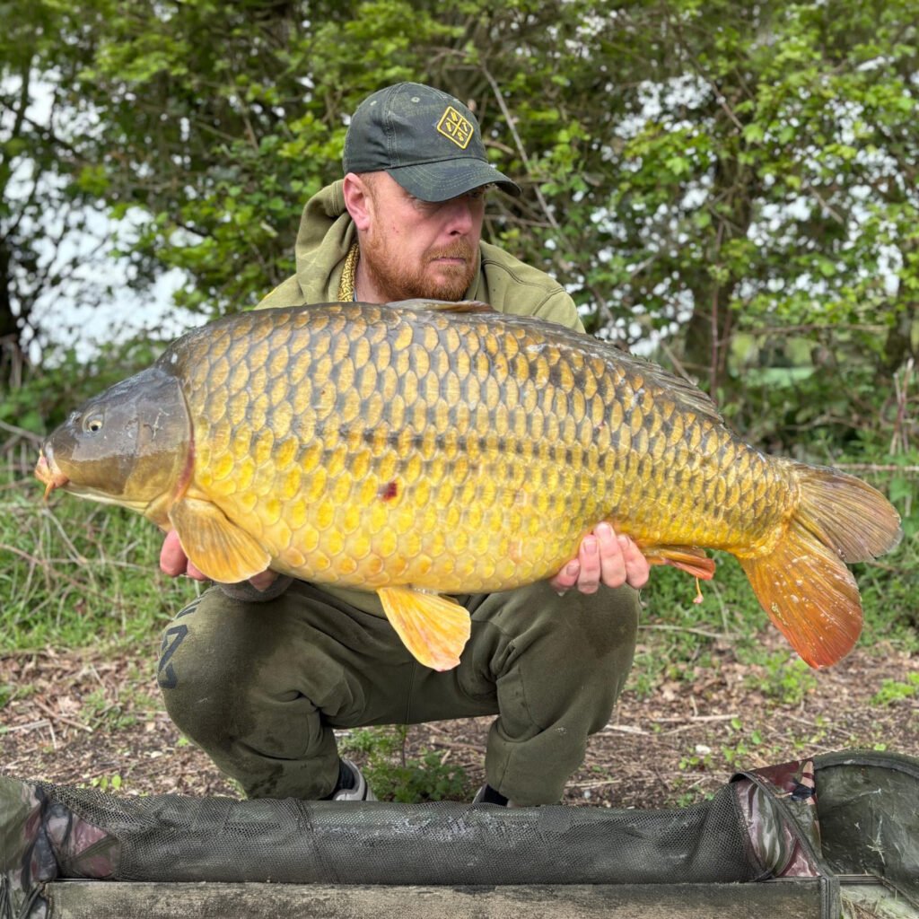carp