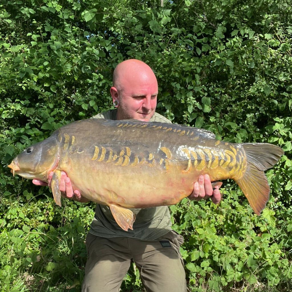 cool carp